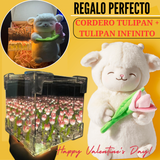 ✨CORDERO TULIPAN + TULIPAN INFINITO🌷🐻‍❄️